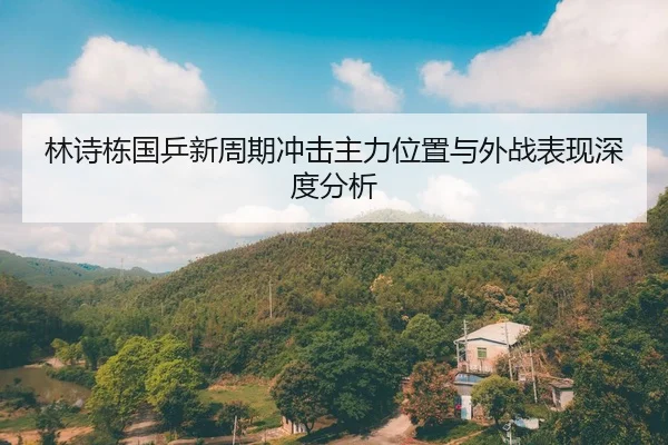 林诗栋国乒新周期冲击主力位置与外战表现深度分析